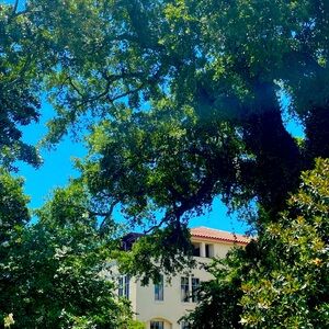 Meet your Posher, Josh